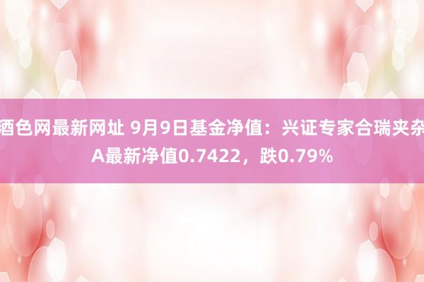 酒色网最新网址 9月9日基金净值：兴证专家合瑞夹杂A最新净值0.7422，跌0.79%
