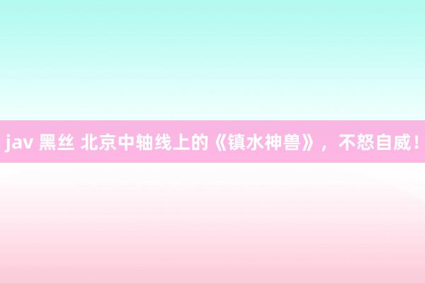 jav 黑丝 北京中轴线上的《镇水神兽》，不怒自威！