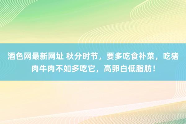 酒色网最新网址 秋分时节，要多吃食补菜，吃猪肉牛肉不如多吃它，高卵白低脂肪！