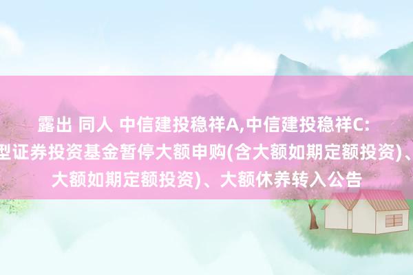 露出 同人 中信建投稳祥A，中信建投稳祥C: 中信建投稳祥债券型证券投资基金暂停大额申购(含大额如期定额投资)、大额休养转入公告