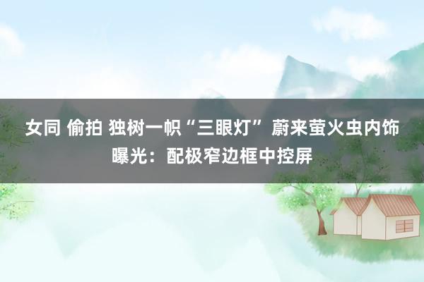 女同 偷拍 独树一帜“三眼灯” 蔚来萤火虫内饰曝光：配极窄边框中控屏
