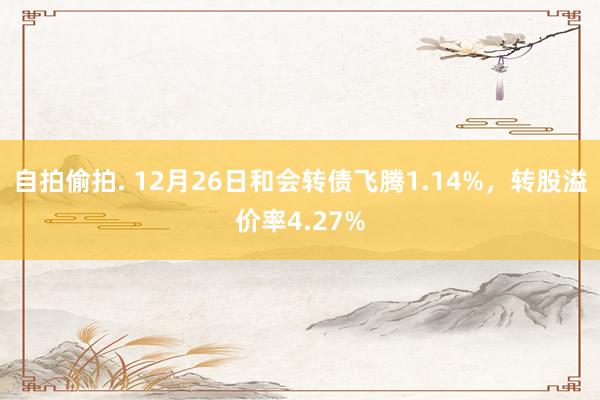 自拍偷拍. 12月26日和会转债飞腾1.14%，转股溢价率4.27%