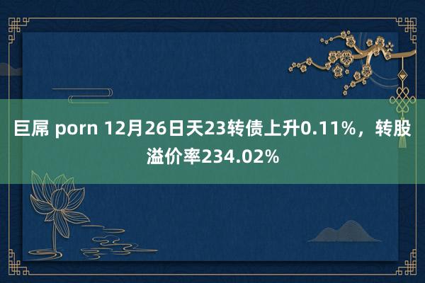 巨屌 porn 12月26日天23转债上升0.11%，转股溢价率234.02%
