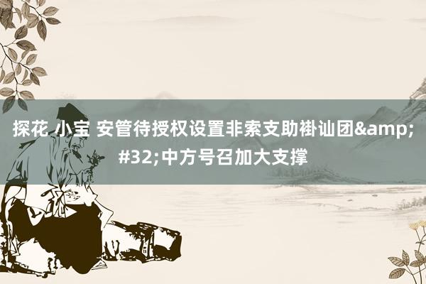 探花 小宝 安管待授权设置非索支助褂讪团&#32;中方号召加大支撑