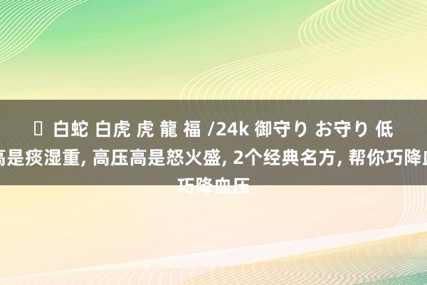 ✨白蛇 白虎 虎 龍 福 /24k 御守り お守り 低压高是痰湿重， 高压高是怒火盛， 2个经典名方， 帮你巧降血压