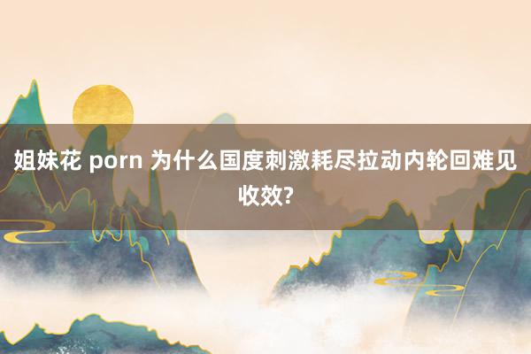 姐妹花 porn 为什么国度刺激耗尽拉动内轮回难见收效?