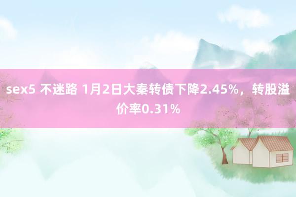 sex5 不迷路 1月2日大秦转债下降2.45%，转股溢价率0.31%