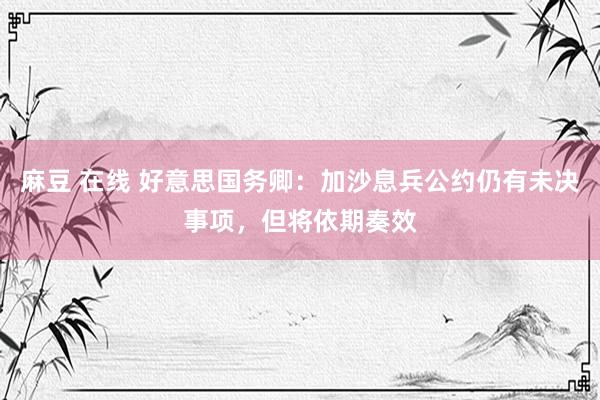 麻豆 在线 好意思国务卿：加沙息兵公约仍有未决事项，但将依期奏效