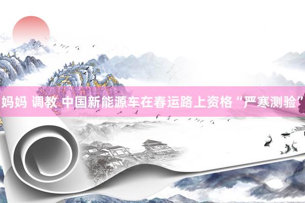 妈妈 调教 中国新能源车在春运路上资格“严寒测验”