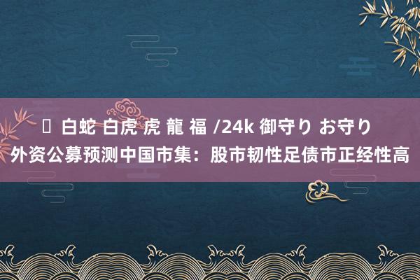 ✨白蛇 白虎 虎 龍 福 /24k 御守り お守り 外资公募预测中国市集：股市韧性足债市正经性高