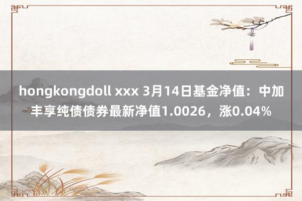 hongkongdoll xxx 3月14日基金净值：中加丰享纯债债券最新净值1.0026，涨0.04%