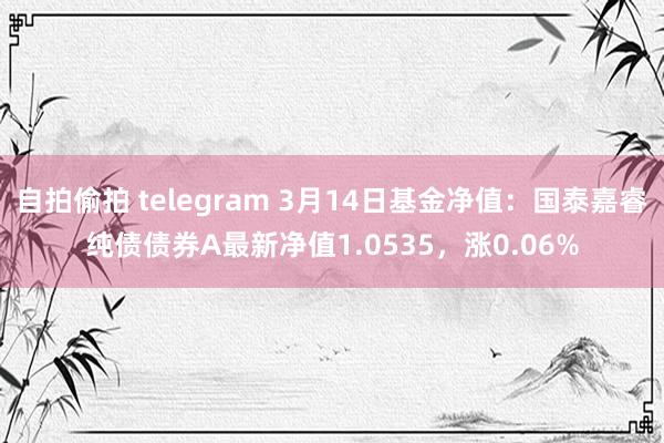 自拍偷拍 telegram 3月14日基金净值：国泰嘉睿纯债债券A最新净值1.0535，涨0.06%