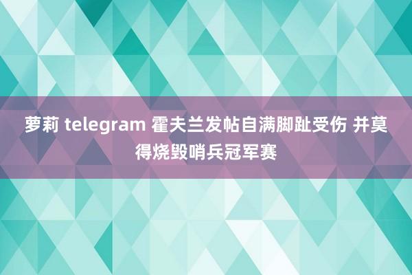萝莉 telegram 霍夫兰发帖自满脚趾受伤 并莫得烧毁哨兵冠军赛