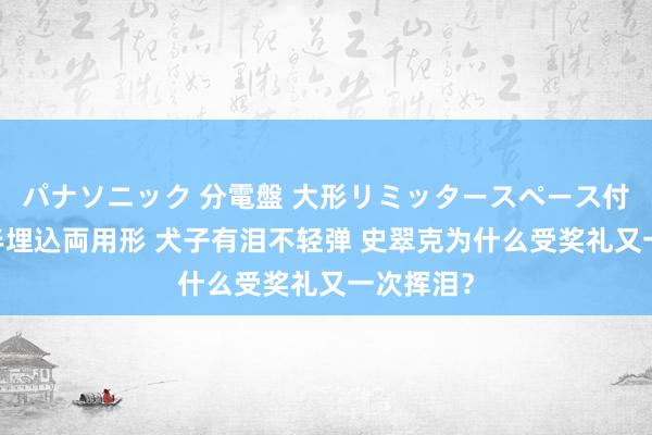 パナソニック 分電盤 大形リミッタースペース付 露出・半埋込両用形 犬子有泪不轻弹 史翠克为什么受奖礼又一次挥泪？