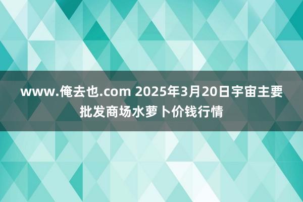 www.俺去也.com 2025年3月20日宇宙主要批发商场水萝卜价钱行情