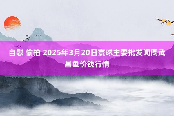 自慰 偷拍 2025年3月20日寰球主要批发阛阓武昌鱼价钱行情