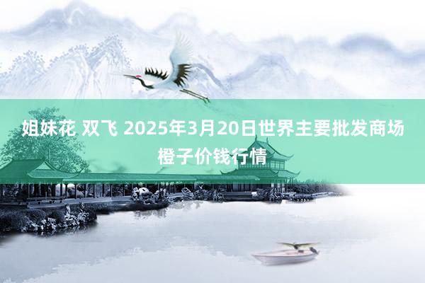 姐妹花 双飞 2025年3月20日世界主要批发商场橙子价钱行情