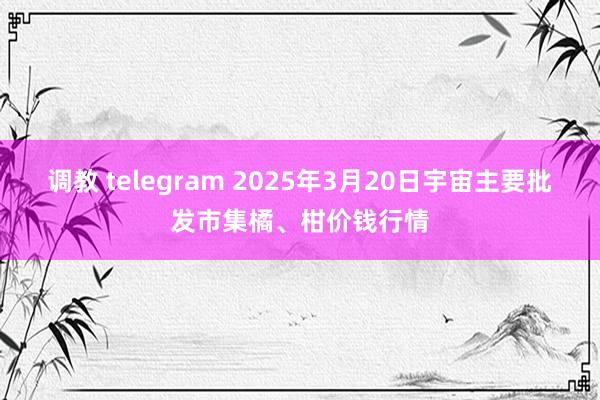 调教 telegram 2025年3月20日宇宙主要批发市集橘、柑价钱行情