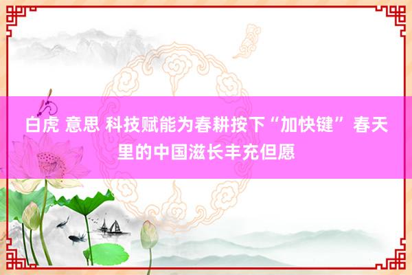 白虎 意思 科技赋能为春耕按下“加快键” 春天里的中国滋长丰充但愿