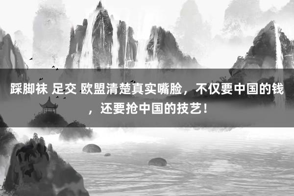 踩脚袜 足交 欧盟清楚真实嘴脸,不仅要中国的钱,还要抢中国的技艺!