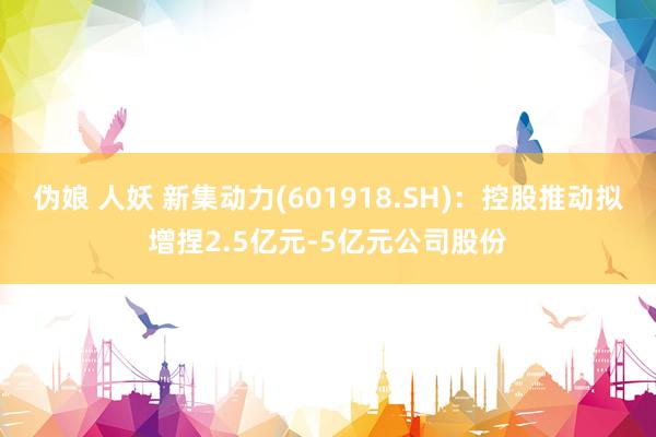 伪娘 人妖 新集动力(601918.SH)：控股推动拟增捏2.5亿元-5亿元公司股份