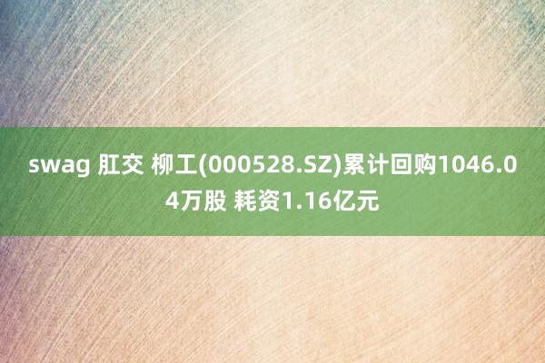 swag 肛交 柳工(000528.SZ)累计回购1046.04万股 耗资1.16亿元