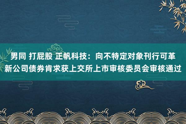 男同 打屁股 正帆科技：向不特定对象刊行可革新公司债券肯求获上交所上市审核委员会审核通过