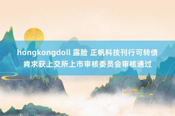 hongkongdoll 露脸 正帆科技刊行可转债肯求获上交所上市审核委员会审核通过