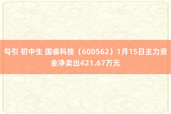 勾引 初中生 国睿科技（600562）1月15日主力资金净卖出421.67万元