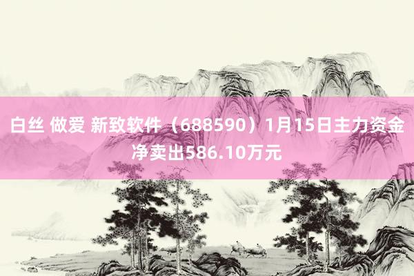 白丝 做爱 新致软件（688590）1月15日主力资金净卖出586.10万元
