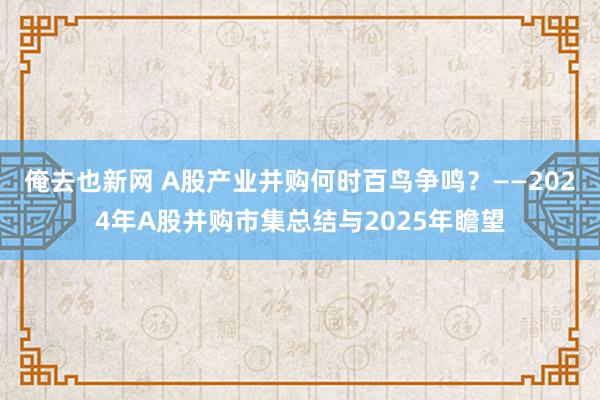 俺去也新网 A股产业并购何时百鸟争鸣？——2024年A股并购市集总结与2025年瞻望