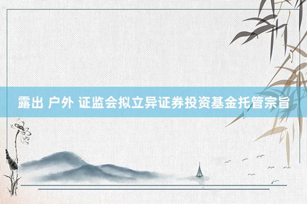 露出 户外 证监会拟立异证券投资基金托管宗旨