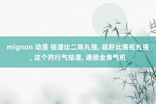 mignon 动漫 祛湿比二陈丸强， 疏肝比落拓丸强， 这个药行气祛湿， 通顺全身气机