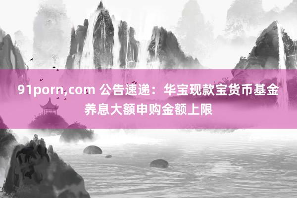 91porn，com 公告速递：华宝现款宝货币基金养息大额申购金额上限