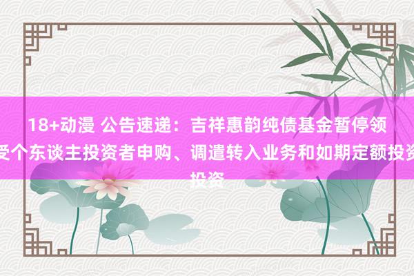 18+动漫 公告速递：吉祥惠韵纯债基金暂停领受个东谈主投资者申购、调遣转入业务和如期定额投资