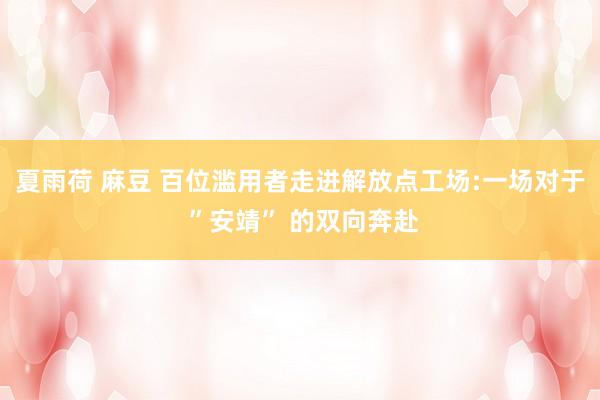 夏雨荷 麻豆 百位滥用者走进解放点工场:一场对于 ”安靖” 的双向奔赴