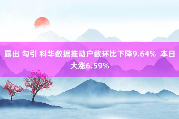 露出 勾引 科华数据推动户数环比下降9.64%  本日大涨6.59%