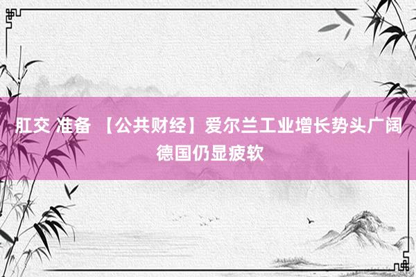肛交 准备 【公共财经】爱尔兰工业增长势头广阔 德国仍显疲软