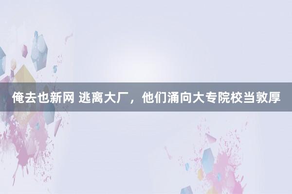 俺去也新网 逃离大厂，他们涌向大专院校当敦厚