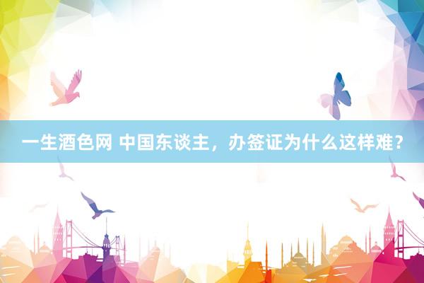 一生酒色网 中国东谈主，办签证为什么这样难？