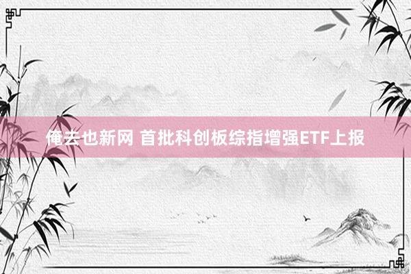 俺去也新网 首批科创板综指增强ETF上报
