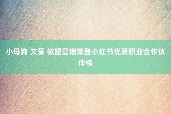 小母狗 文爱 微盟营销荣登小红书优质职业合作伙伴榜
