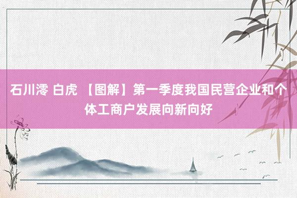 石川澪 白虎 【图解】第一季度我国民营企业和个体工商户发展向新向好