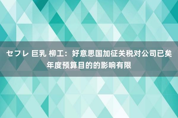 セフレ 巨乳 柳工：好意思国加征关税对公司已矣年度预算目的的影响有限