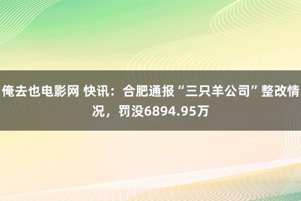 俺去也电影网 快讯：合肥通报“三只羊公司”整改情况，罚没6894.95万