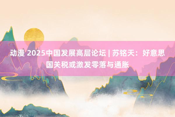 动漫 2025中国发展高层论坛 | 苏铭天：好意思国关税或激发零落与通胀