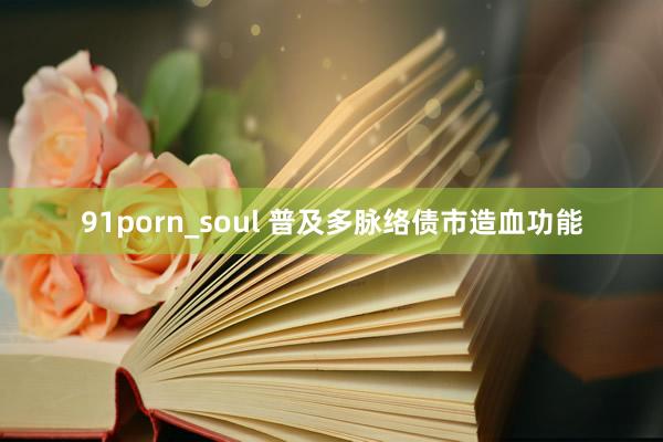 91porn_soul 普及多脉络债市造血功能