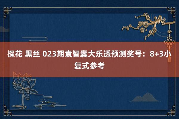 探花 黑丝 023期袁智囊大乐透预测奖号：8+3小复式参考