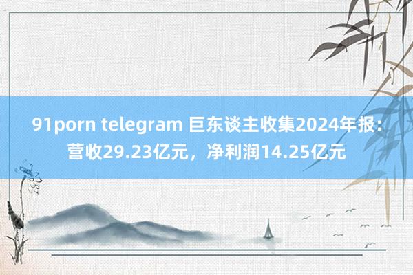 91porn telegram 巨东谈主收集2024年报：营收29.23亿元，净利润14.25亿元