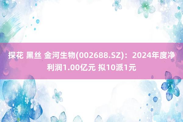 探花 黑丝 金河生物(002688.SZ)：2024年度净利润1.00亿元 拟10派1元